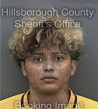 Deonissiy Nikolenko, - Hillsborough County, FL 