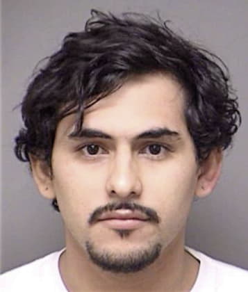 Eduardo Bouchan-Hurtado, - Denton County, TX 