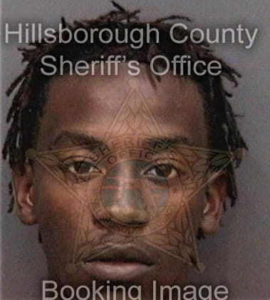 Dashawn Nelson, - Hillsborough County, FL 