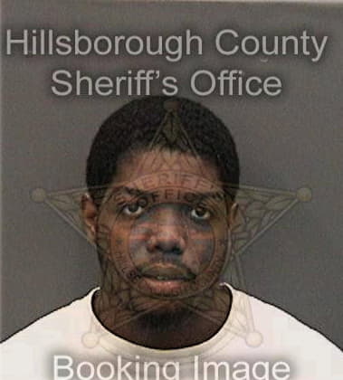 Justin Nelson, - Hillsborough County, FL 