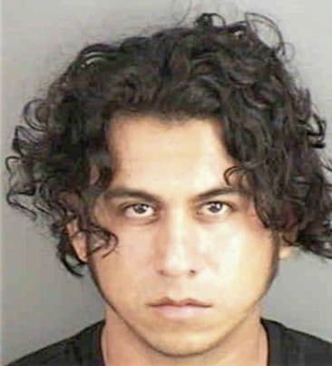 Francisco Romero, - Collier County, FL 