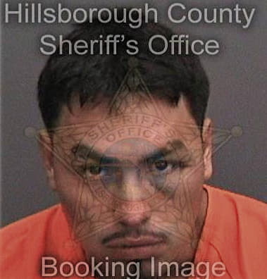 Elias Alicea, - Hillsborough County, FL 