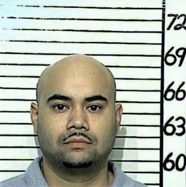 Mauro Alvizo - Comal County, TX 