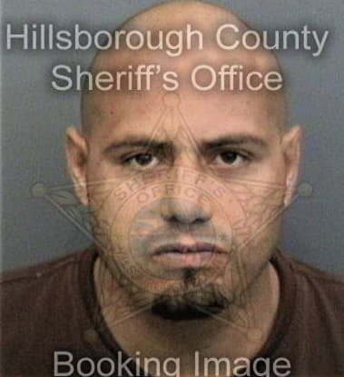 Jose Feliciano, - Hillsborough County, FL 