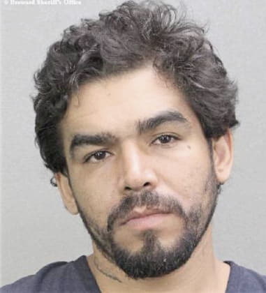 Harvin Garcianavarro, - Broward County, FL 