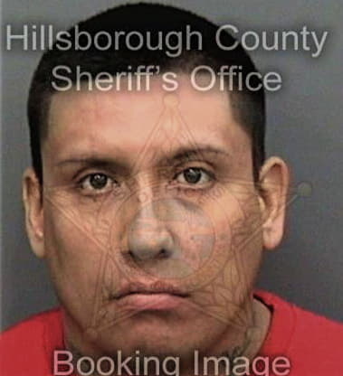 Michael Glisson, - Hillsborough County, FL 