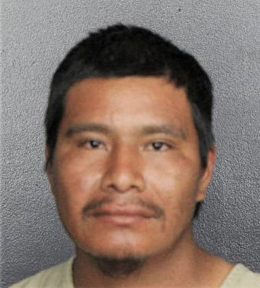 Elmer Mejia, - Broward County, FL 