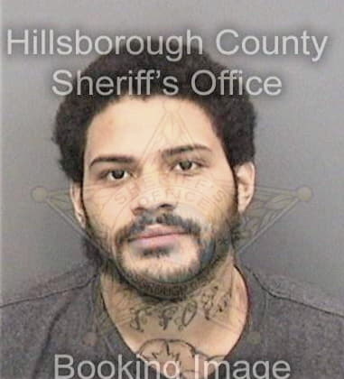 John Morales, - Hillsborough County, FL 