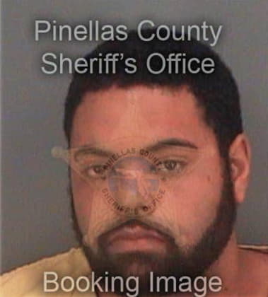 Jermaine Williams, - Pinellas County, FL 