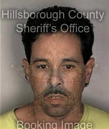 Carlos Caraballea, - Hillsborough County, FL 