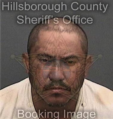 Kenneth Mauser - Hillsborough County, FL 