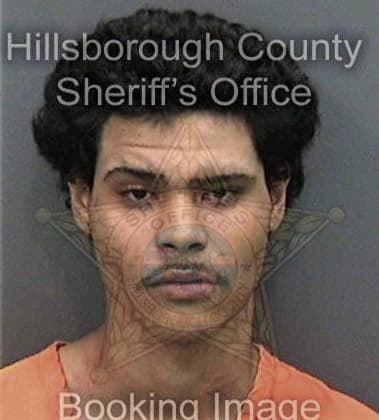 Alex Reyes, - Hillsborough County, FL 