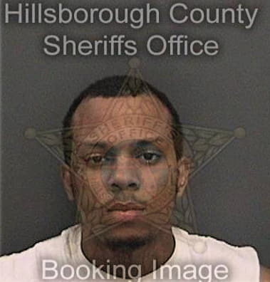 Michael Hunt, - Hillsborough County, FL 