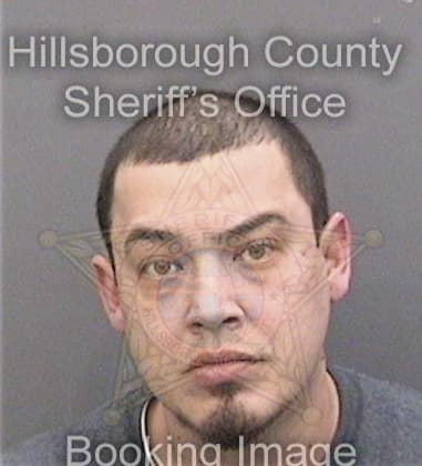 Tory Lippincott, - Hillsborough County, FL 