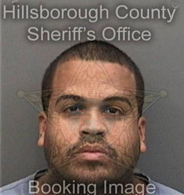 Robert Lloyd - Hillsborough County, FL 