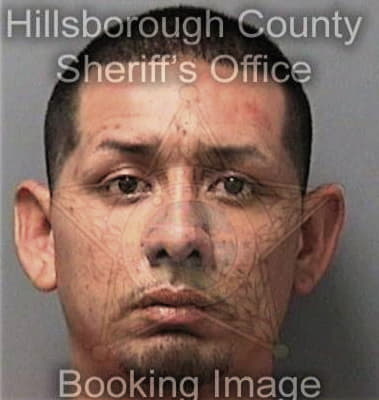 Nelson Martinez, - Hillsborough County, FL 