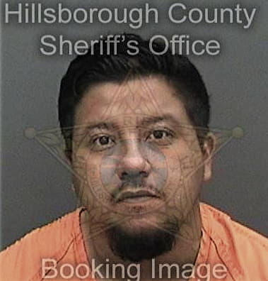 Michael Roberts - Hillsborough County, FL 