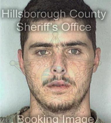 Albert Bravo - Hillsborough County, FL 