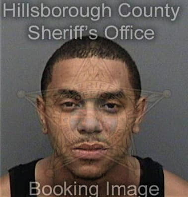 Raymond Brinson - Hillsborough County, FL 