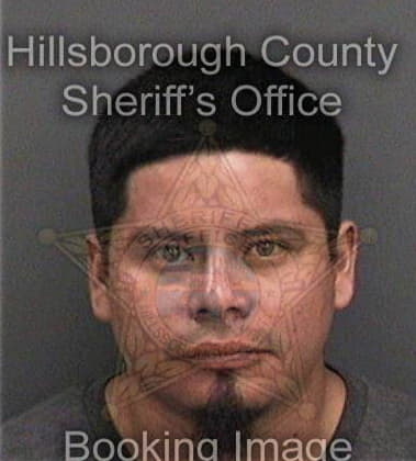 Osbel Calzadacruz, - Hillsborough County, FL 