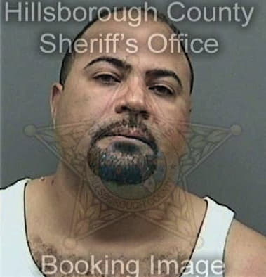 Brandon Litvinchyk, - Hillsborough County, FL 