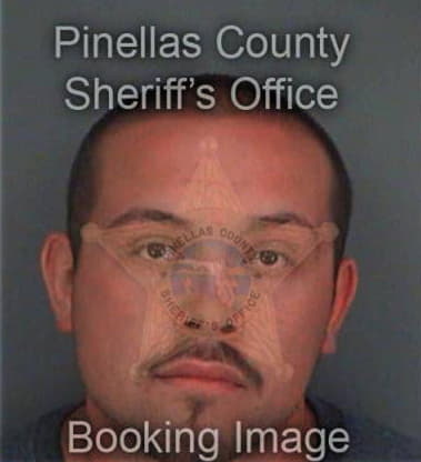 Gregory Watkins, - Pinellas County, FL 