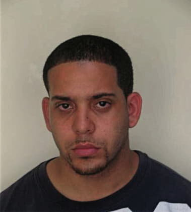 Ahmed Ahmed, - Hillsborough County, FL 