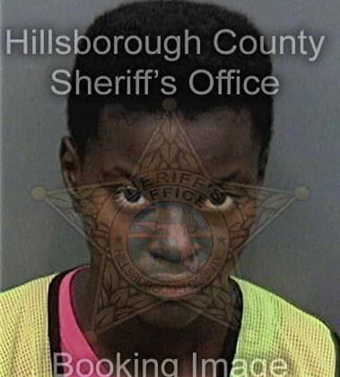Taylor Herring - Hillsborough County, FL 