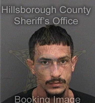 Sean Huddleston, - Hillsborough County, FL 