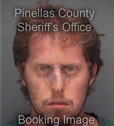 Nicholas King, - Pinellas County, FL 