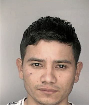 Roberto Meza - Hillsborough County, FL 