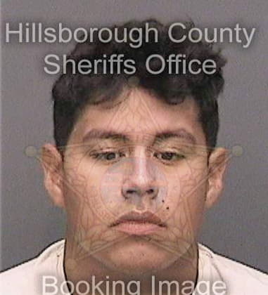 Gerson Mieses - Hillsborough County, FL 
