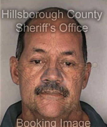 Angel Serranosantiago, - Hillsborough County, FL 