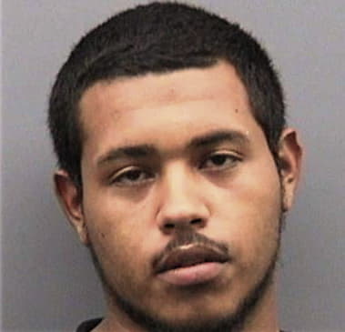 James Simmons, - Hillsborough County, FL 