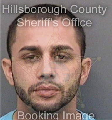 Lewis Deleon, - Hillsborough County, FL 