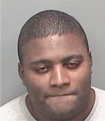 Joshua Ellis, - Pinellas County, FL 