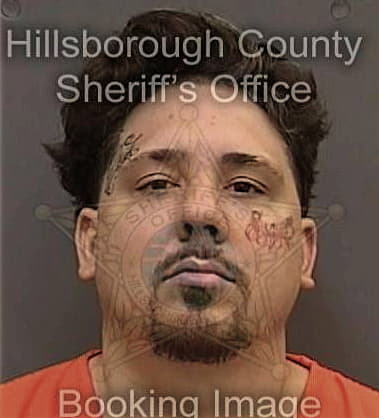 Michael Hedgepeth, - Hillsborough County, FL 