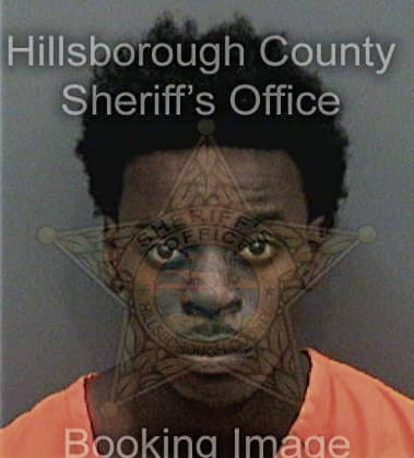 Anthony McNeal - Hillsborough County, FL 
