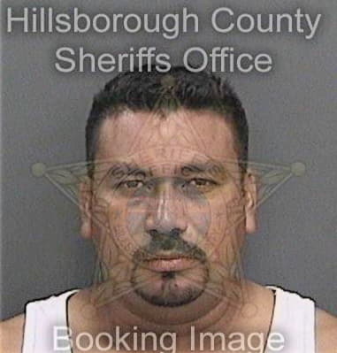 Lewis Peterman, - Hillsborough County, FL 