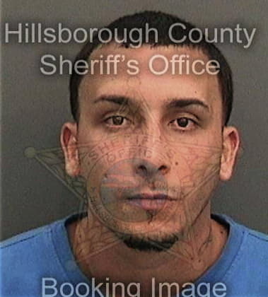 Christopher Wooldridge, - Hillsborough County, FL 