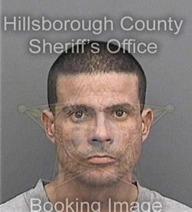 Ariedwin Colonquinones, - Hillsborough County, FL 