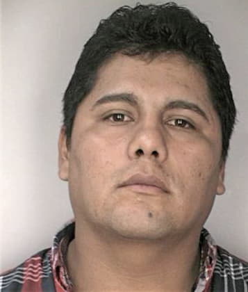 Michael Heverling - Hillsborough County, FL 