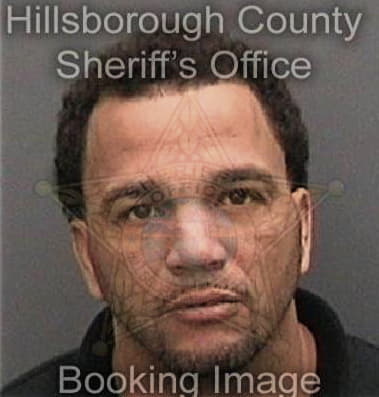 Daniel Holt, - Hillsborough County, FL 