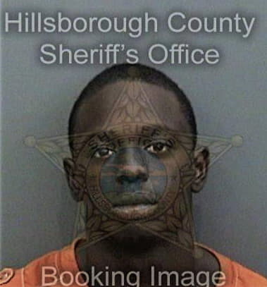 Tyrie Johnson, - Hillsborough County, FL 