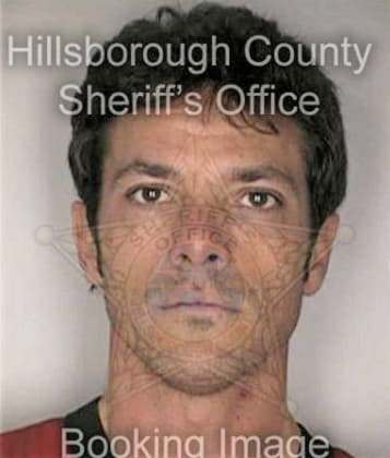 Brian Nelson, - Hillsborough County, FL 