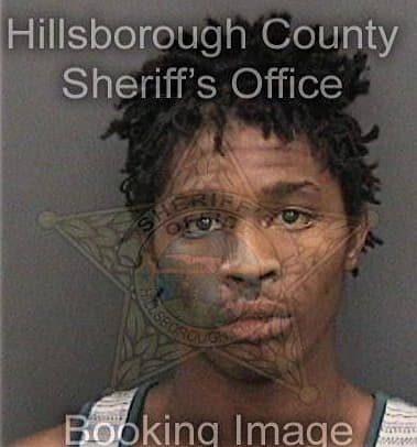 Quintin Palmer, - Hillsborough County, FL 