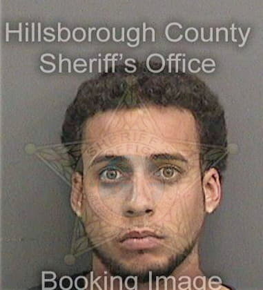 Luis Palomares, - Hillsborough County, FL 