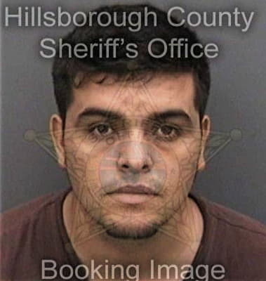 Nicholas Pruett, - Hillsborough County, FL 