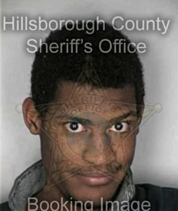 Alexander Williams - Hillsborough County, FL 