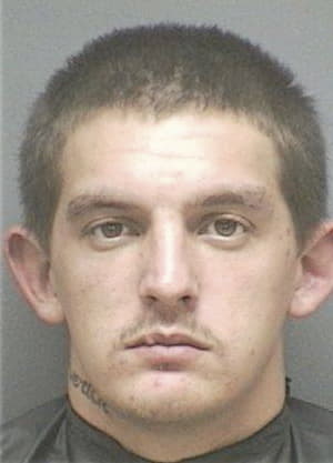 Joshua Dornan, - Flagler County, FL 